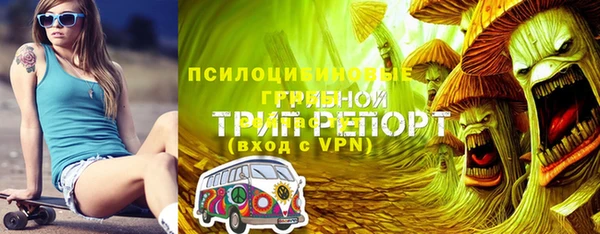 гидра Армянск