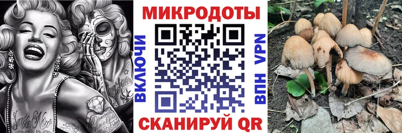 Псилоцибиновые грибы Magic Shrooms  Рыльск 